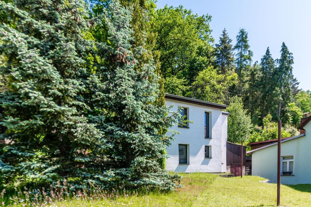 הוילה באד שאנדאו Haus Am Wald מראה חיצוני תמונה