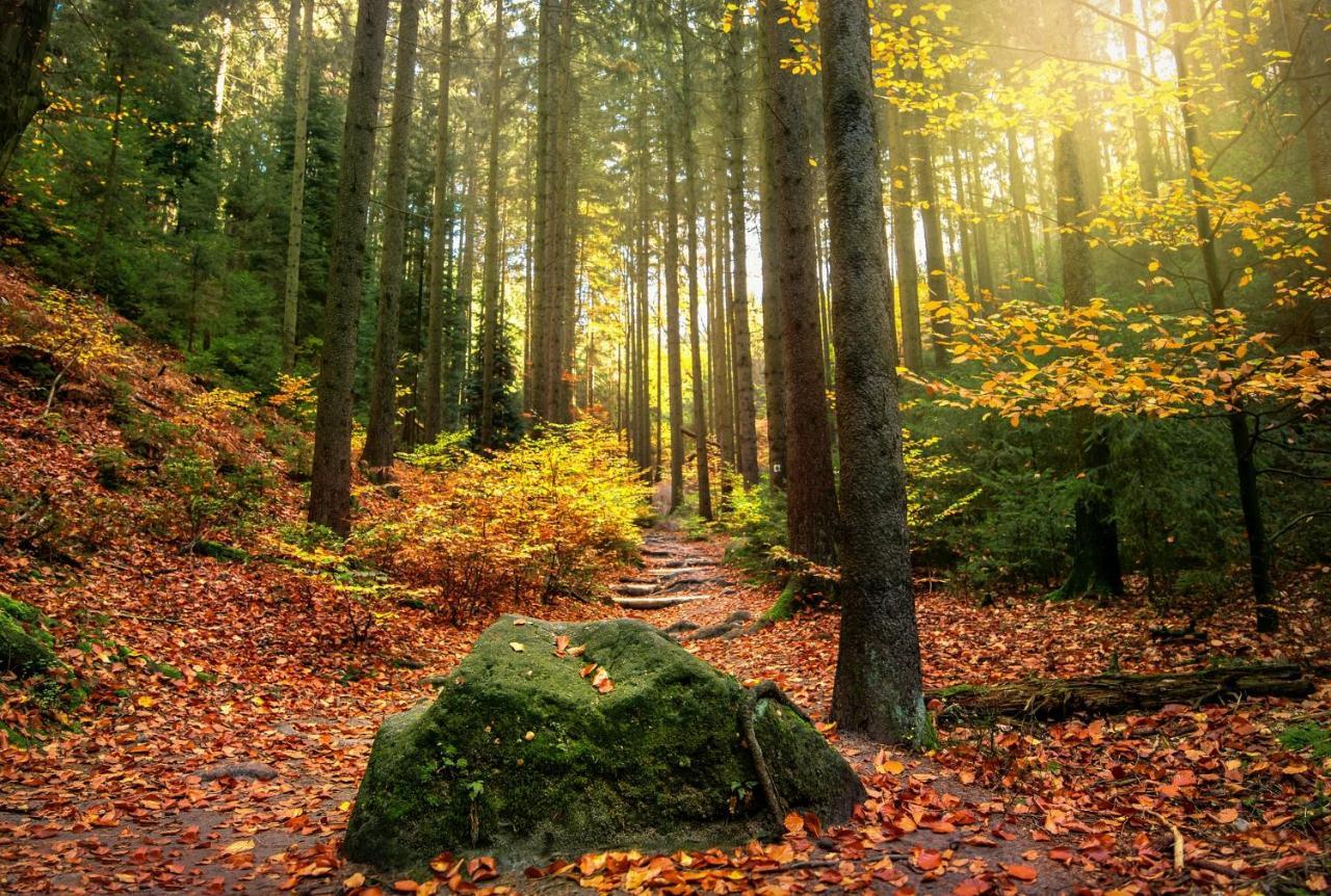 הוילה באד שאנדאו Haus Am Wald מראה חיצוני תמונה